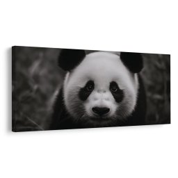 Kép mosolygós fekete-fehér panda