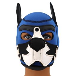 Blue-White Puppy Fox - neoprna maszk stlusos vdelemhez