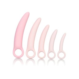 CalExotics Inspire - egészségügyi hüvely tágító szett (pink)