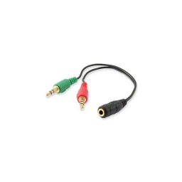 Audio eloszt kbel, 13 cm, 1 bemenet/2 kimenet, EQUIP