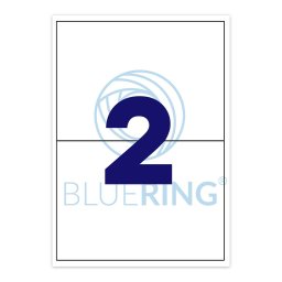 Etikett cmke, 210x148mm, 100 lap, 2 cmke/lap Bluering(R)