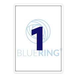Etikett cmke, 210x297mm, 100 lap, 1 cmke/lap Bluering(R)