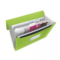 Irattart mappa, harmonikamappa, A4, PP 6 rekeszes Esselte Vivida zld