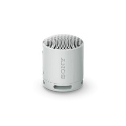 SONY SRSXB100H.CE7 Hordozható Vezeték nélküli Hangszóró, Szürke