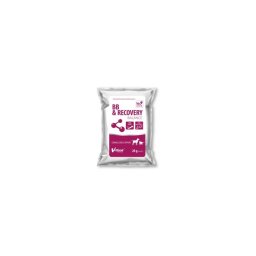 BB Recovery Balance por 20g