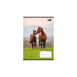 Fzet, tztt, A5, vonalas, 32 lap, 1. osztly, COOL BY VICTORIA "Free Spirit", "14-32"