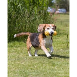 Trixie tömör gumi apport csengővel (12 cm)
