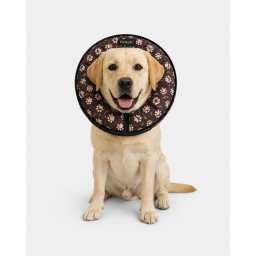 Pet Body Műtéti Gallér tappancsos 57 cm< XXL méret