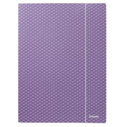 ESSELTE Gumis mappa, karton, A4, ESSELTE "Colour'Breeze", levendula
