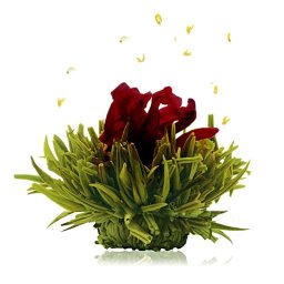 Cseresznye ízű virágzó zöld tea, teagolyó