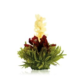 Málna ízű virágzó zöld tea, teagolyó