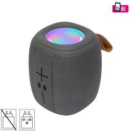 SAL BT 1000 Bluetooth/FM/USB/microSD hangszoro