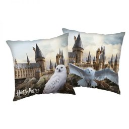 Harry Potter díszpárna - Hedvig baglyos - 40x40 cm