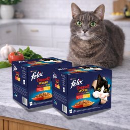 Purina Felix Fantastic Duo alutasakos macskaeledel házias válogatás aszpikban (48x85 g)