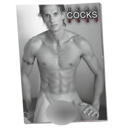 Real Cocks 2027 - erotikus falinaptár (1 db)