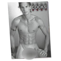 Real Cocks 2027 - erotikus falinaptár (1 db)