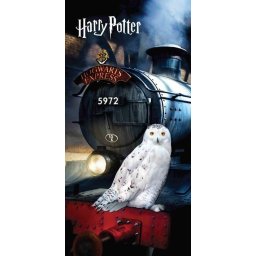 Harry Potter fürdőlepedő, strandtörölköző 70x140 cm Nr 03