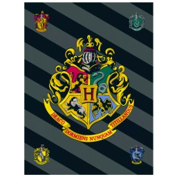 Harry Potter polár takaró, pléd 100x150 cm Nr4