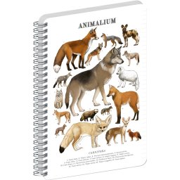 Jegyzetfüzet ikerspirálos Animalium – Canines, vonalas, 21x29,7cm A4, Presco
