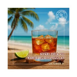 Nyári Déjà Vu - Karibi rumhangulat november 19.