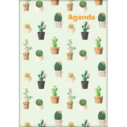DAYLINER Naptár, tervező, A5, heti, DAYLINER, "Colors", Cactus