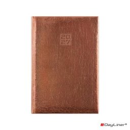 DAYLINER Naptár, tervező, A5, napi, DAYLINER, "Mirror", bronz