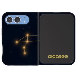 Fashion Case MagSafe Apple iPhone Duo - LEO