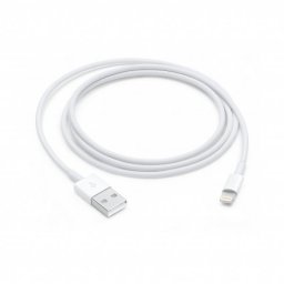 Apple Lightning to USB Cable (1 m)