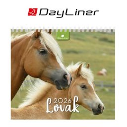 DAYLINER Naptár, asztali, álló, DAYLINER "Lovak"