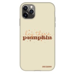 Fashion Case Apple iPhone 11 Pro - Hey there pumpkin