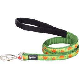 Red Dingo Tropical Green kutya póráz 100-180 cm Medium