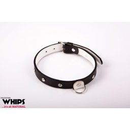Whips nyakörv bőr, állítható 36-42 cm fehér 2 cm széles