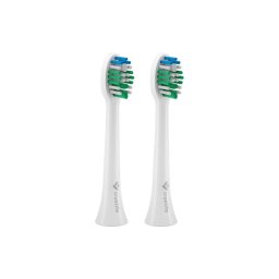 TrueLife 2x csere SonicBrush Compact fej - Standard