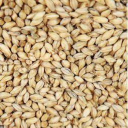 Weyermann Pale Ale Ărpamalăąta 1kg (037)