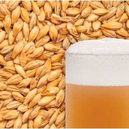 Weyermann Băşzamalăąta 3 Ebc 1 Kg (047)