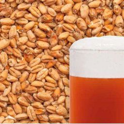 Wheat Dark Băşzamalăąta 1kg 15 Ebc (048)