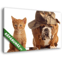 Baseball sapkás bulldog vörös cicával (40x25 cm, Vászonkép )