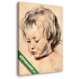 Peter Paul Rubens: Rubens fia, Nicholas nyaklánccal (20x25 cm, Vászonkép )