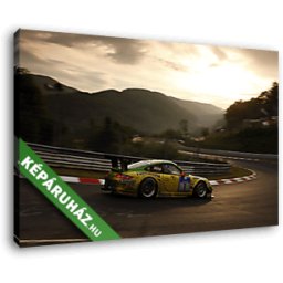 Porsche 911 rally autó verseny közben (40x25 cm, Vászonkép )