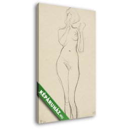 Gustav Klimt: Női akt felemelt karral (1905) (20x30 cm, Vászonkép )