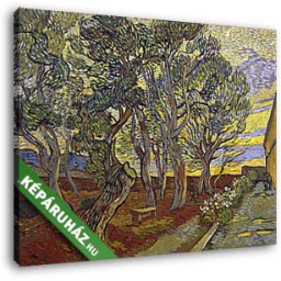 Vincent Van Gogh: A Szent Pál kórház kertje (30x25 cm, Vászonkép )