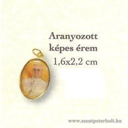 Aranyozott képes érem