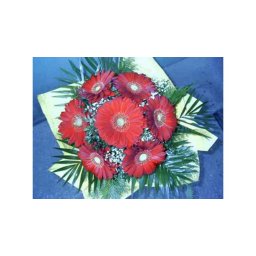 Bordó arany - Gerbera 03