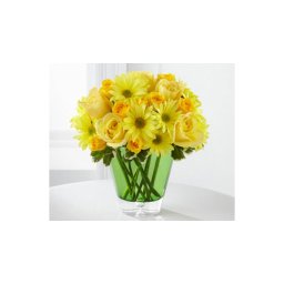 Császári kert - Gerbera 04