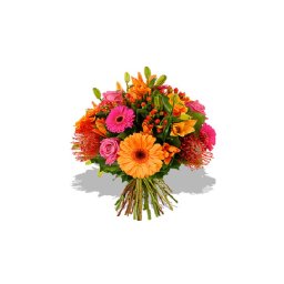 Szemtől szemben - Gerbera 06