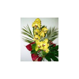 Csodalámpa - Orchidea 04