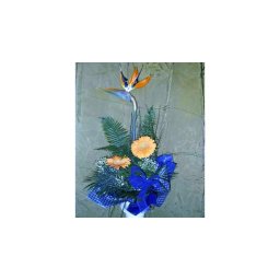 Parrot - Vegyes 06
