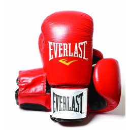 Everlast Fighter kesztyű