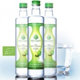 Nordic Koivu Bio Nyírfanedv - 500ml