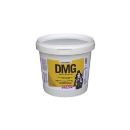 Equimins DMG - Dimetil-glicin 1 kg